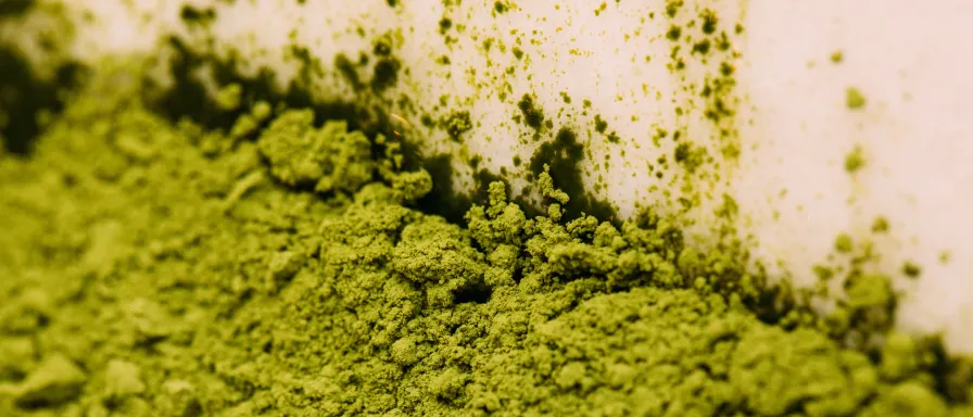 Le matcha peut-il aider à maigrir ?
