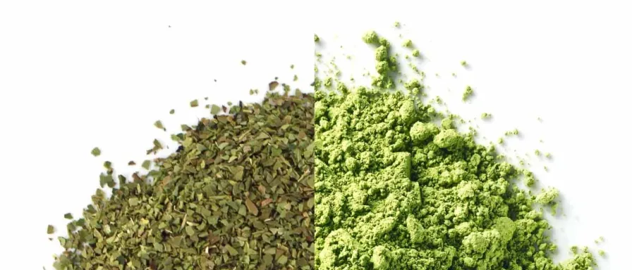 Matcha vs maté, différences et bienfaits