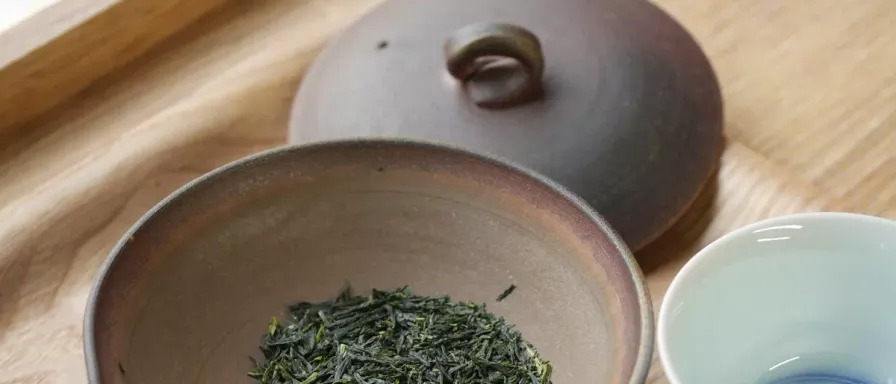Le gyokuro, le thé vert premium du Japon