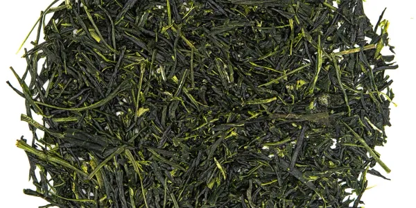 Le sencha Yana, un voyage tout en douceur