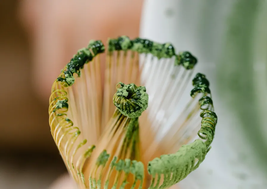 Un fouet à matcha en bambou, ou chasen