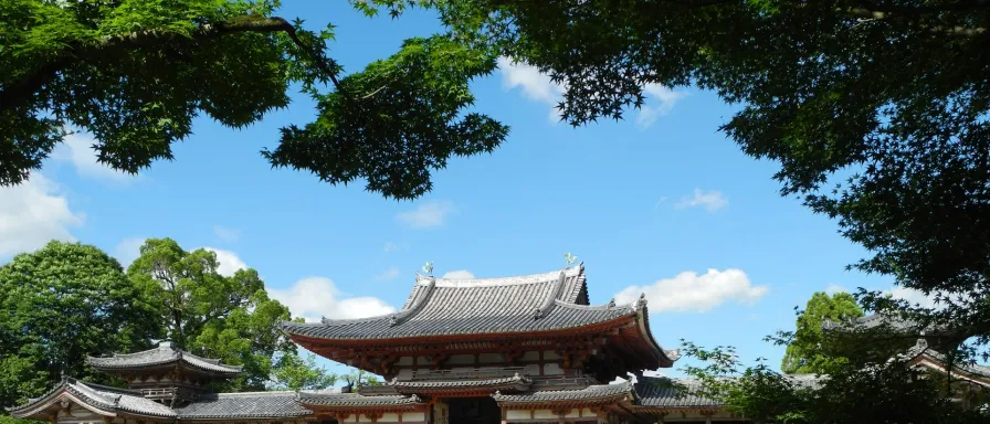 Sur les traces du thé d'Uji, le trésor vert de Kyoto