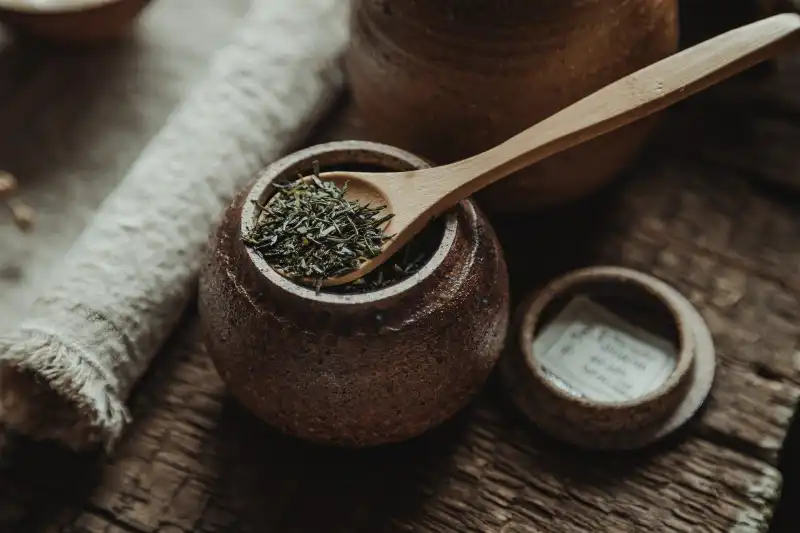 Sencha, le roi des thés verts japonais