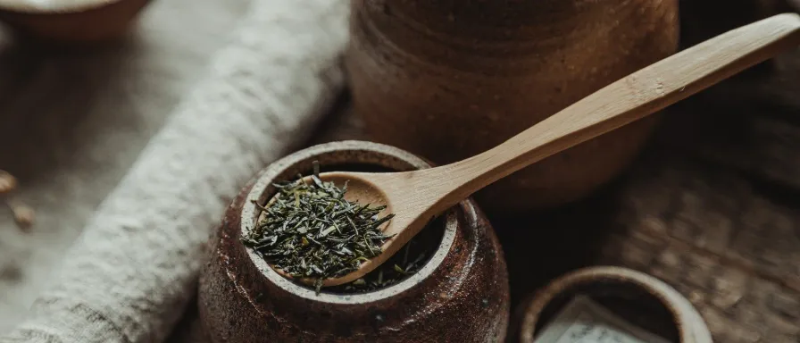 Sencha, le roi des thés verts japonais