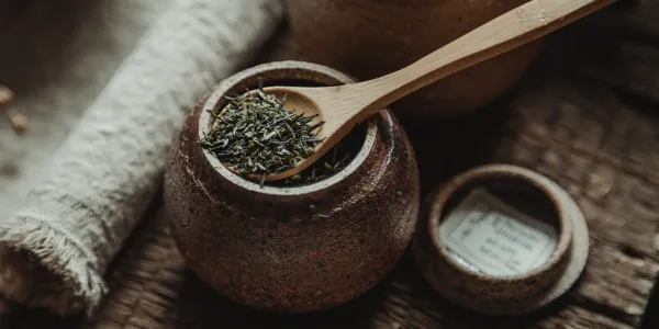 Sencha, le roi des thés verts japonais