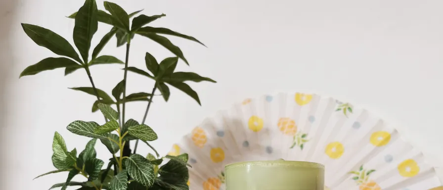 Ebook Thé en cuisine - 10 recettes véganes au thé