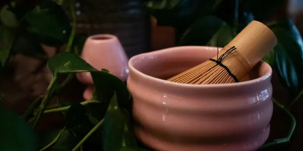 Quelle quantité de matcha boire par jour/tasse ?